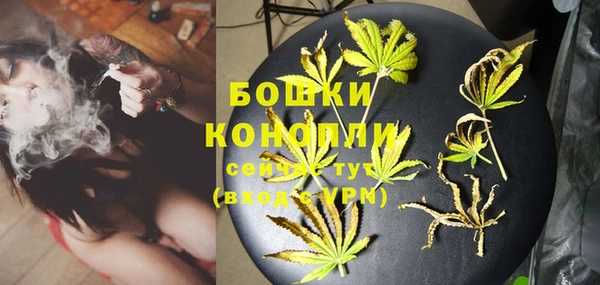 индика Наволоки