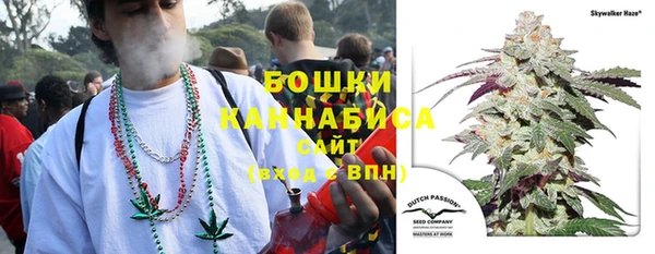 индика Наволоки