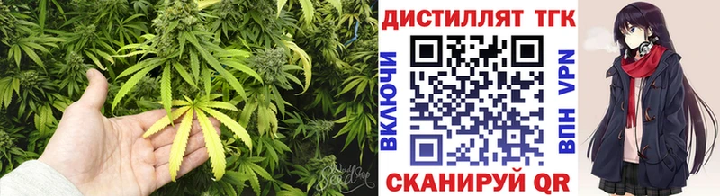 купить   ОМГ ОМГ   Дистиллят ТГК вейп с тгк  shop какой сайт  Донской 