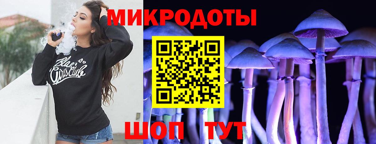 Псилоцибиновые грибы Psilocybine cubensis  Донской 