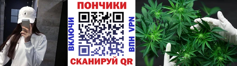 Марихуана ГИДРОПОН  что такое наркотик  Донской 